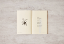 Load image into Gallery viewer, It Is All Equally Fragile - poetry book