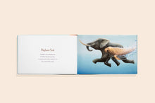 Load image into Gallery viewer, You Stole My Name Picture Book