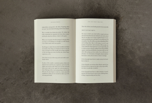 Load image into Gallery viewer, The Life That's Waiting