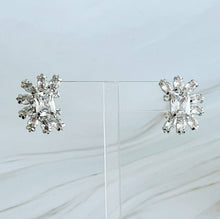 Load image into Gallery viewer, Shine Crusted Jewel Stud Earrings