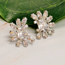 Load image into Gallery viewer, Shine Crusted Jewel Stud Earrings
